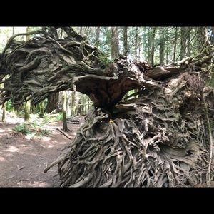 Meet your Posher, Katy